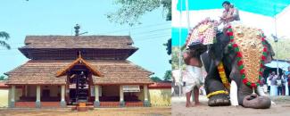 thiruvutsavam-elamkunnapuzha-subramanya-temple-image