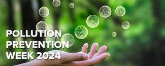 world-pollution-prevention-day-image