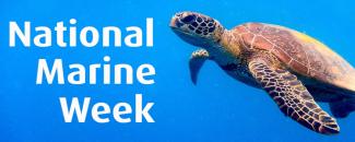 national-marine-week-image