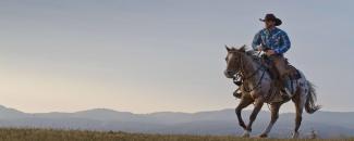 national-day-of-the-cowboy-image