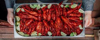 crayfish-party-image