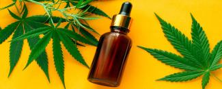national-cbd-day-image