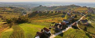 slovenian-mother-nation-day-image