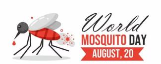 world-mosquito-day-image