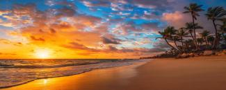national-beach-day-image